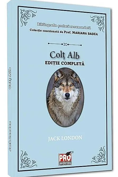 Colț alb