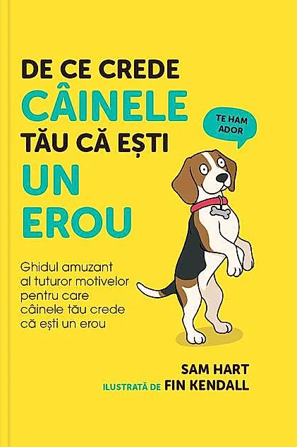 De ce crede câinele tău că eşti un erou