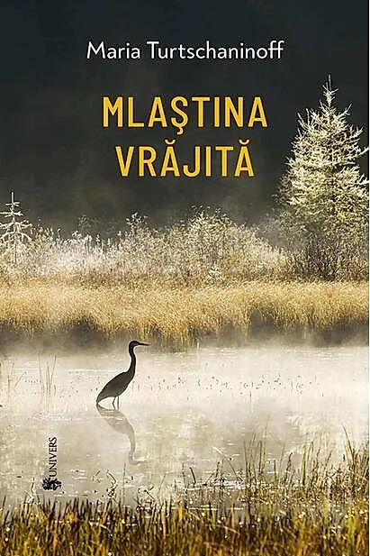 Mlaștina vrăjită