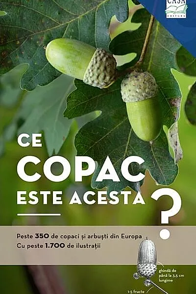 Ce copac este acesta?