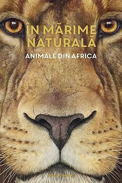 În mărime naturală. Animale din Africa