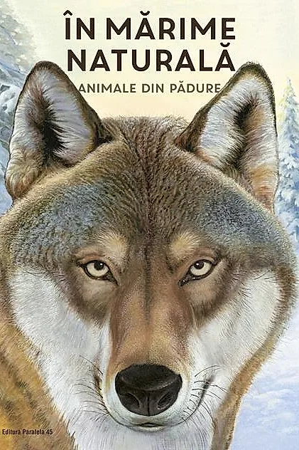 În mărime naturală. Animale din pădure