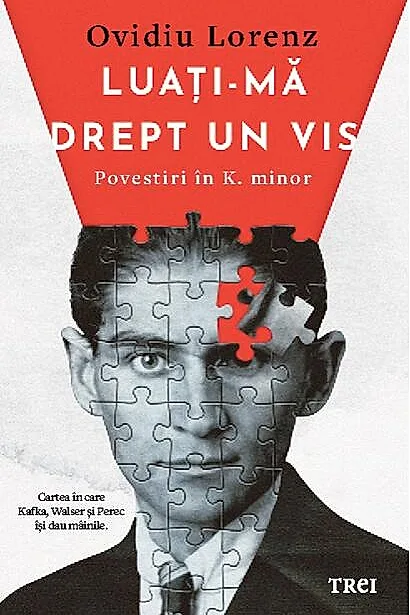 Luați-mă drept un vis. Povestiri în K. minor