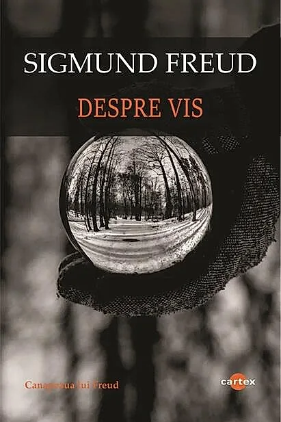 Despre vis