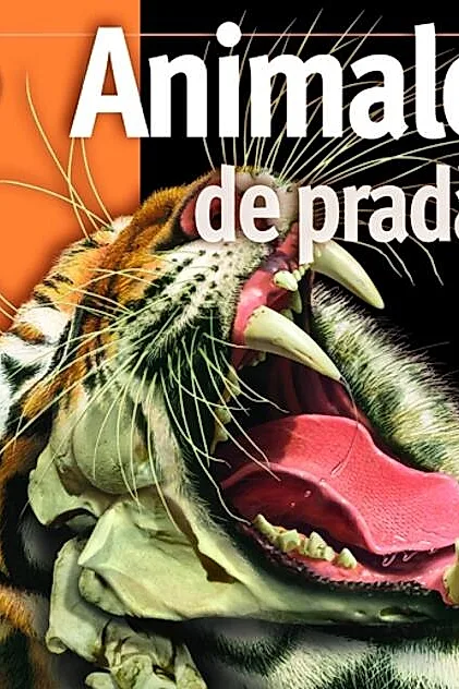 Animale de pradă. Insiders