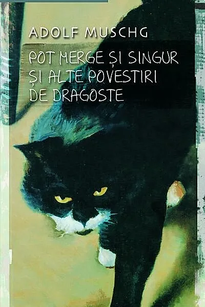 Pot merge şi singur şi alte povestiri de dragoste