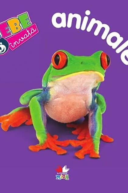 Bebe învaţă. Animalele. Vârsta 0+