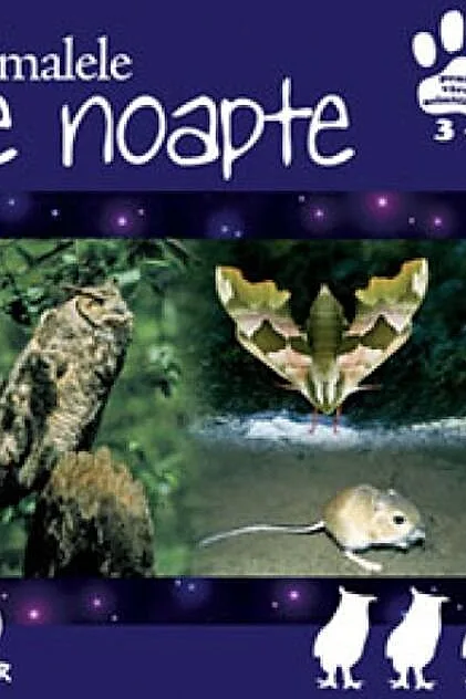 Animalele de noapte