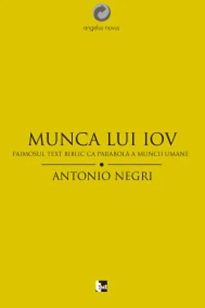 Munca lui Iov. Faimosul text biblic ca parabolă a muncii umane