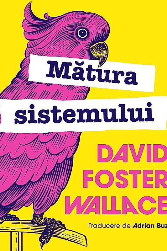 Ebook Mătura sistemului