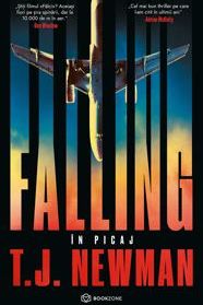 Pachet The gray Man + Falling