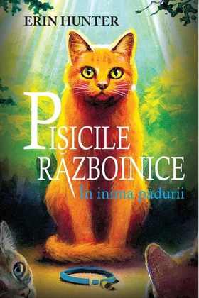 Pachet Seria Pisicile războinice (Vol. 1-4)